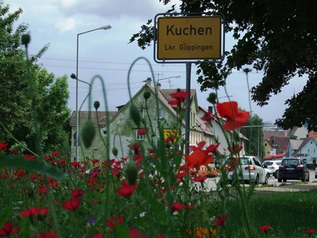 Blumewiese mit Ortseingangsschild Kuchen