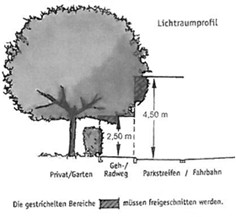 Baum Lichtraumprofil Grafik