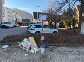 Müll widerrechtlich in der Pfarrgasse/Seetalbachstr. entsorgt